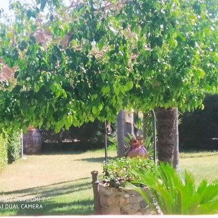 Casa Melia Apartment Monasterace Ngoại thất bức ảnh
